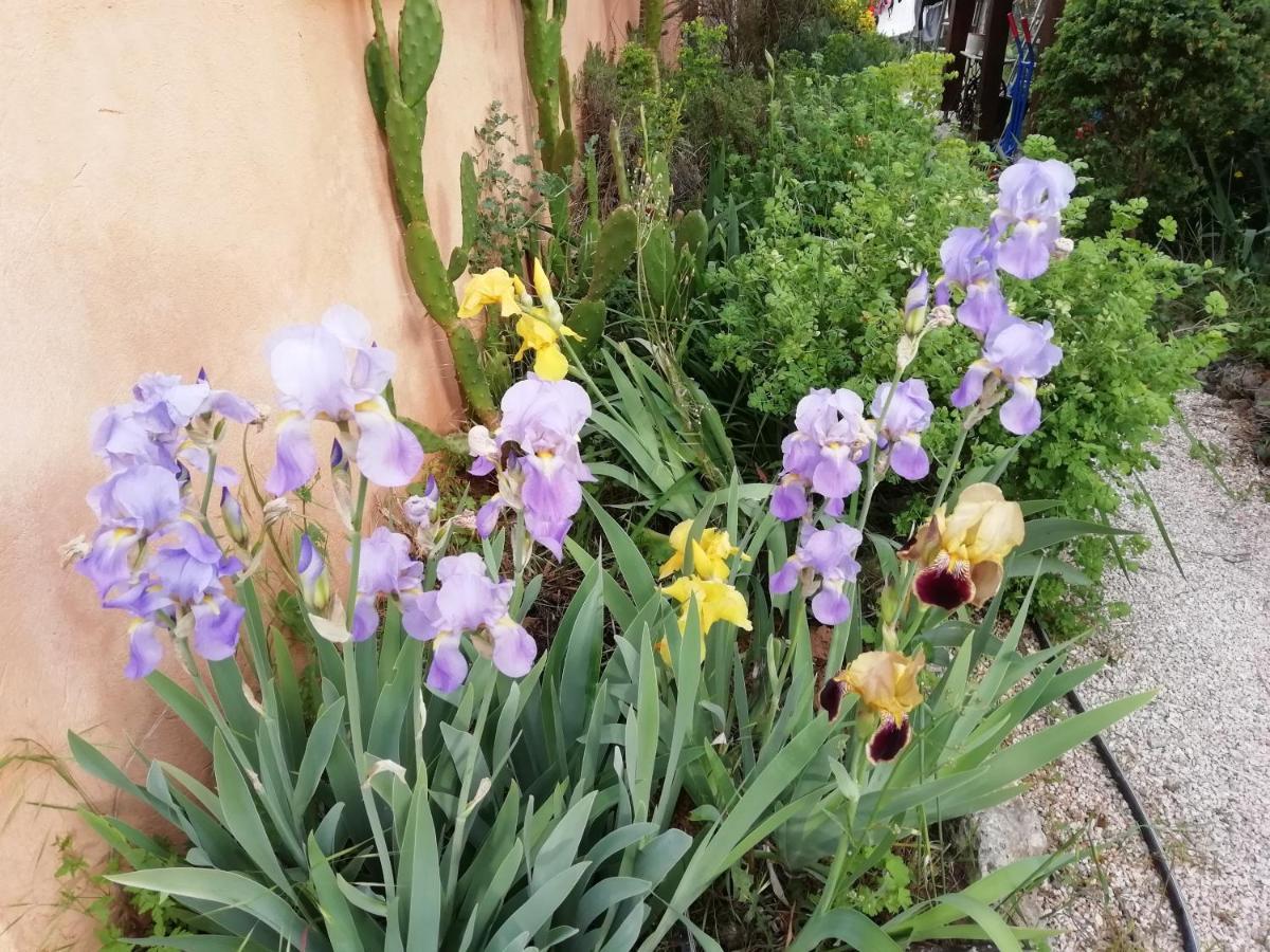 Chambre D'Hote Le Mas Des Romarins Les Arcs-sur-Argens Екстериор снимка