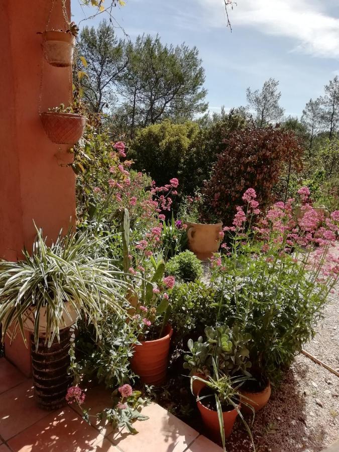Chambre D'Hote Le Mas Des Romarins Les Arcs-sur-Argens Екстериор снимка